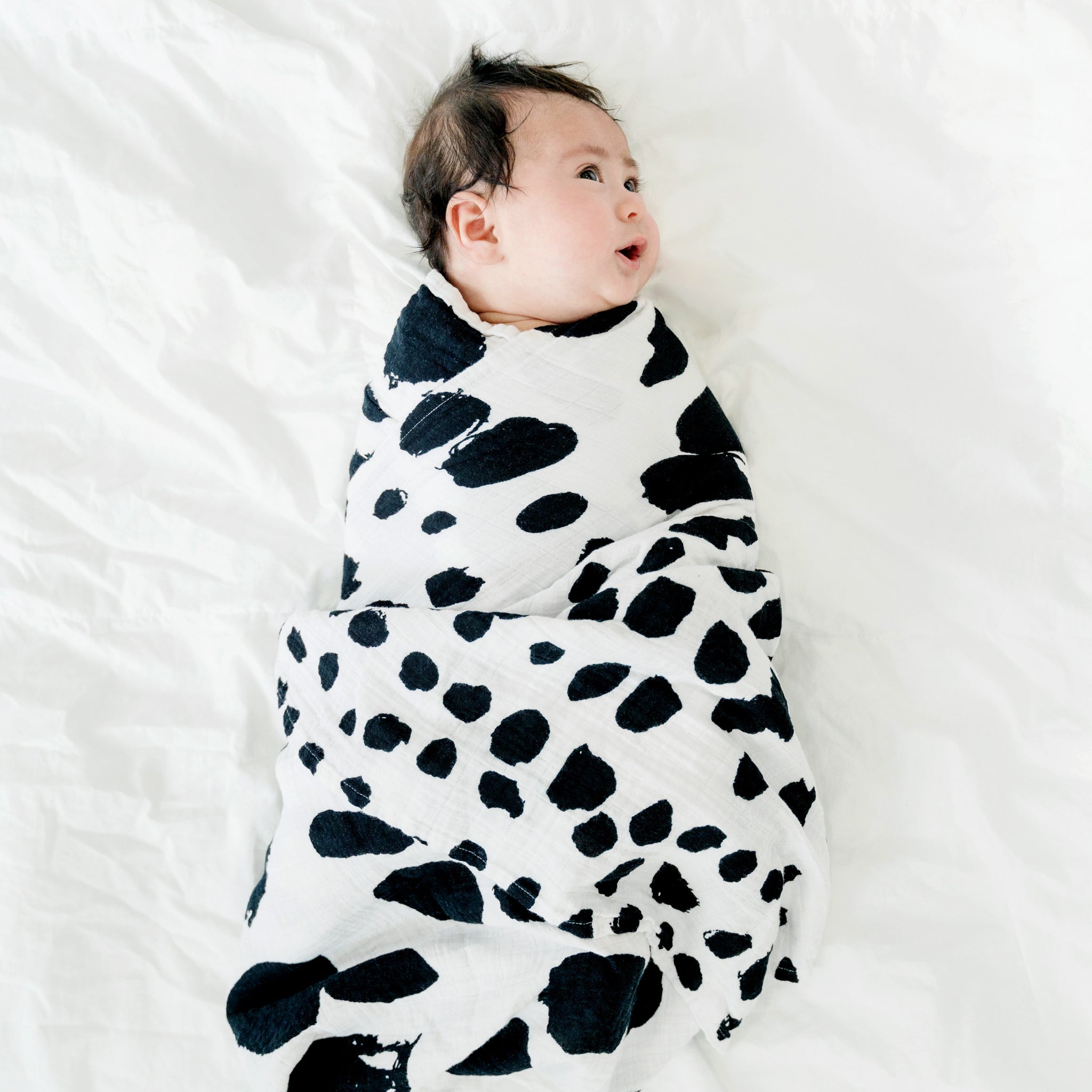 Organic Cotton Muslin Swaddle Blanket - Spotted